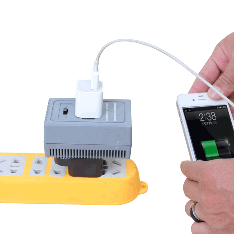 Travel dual wattage voltage converter 13690-5