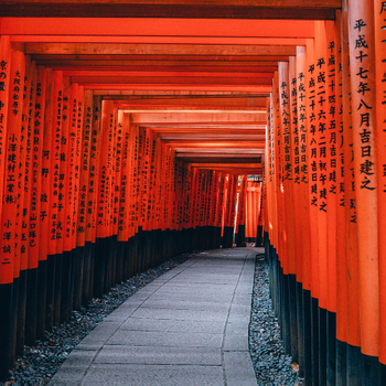 10 Must-Have Apps for Traveling Japan