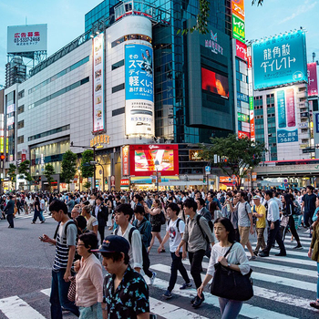 Why Do So Many People Travel to Japan? 
